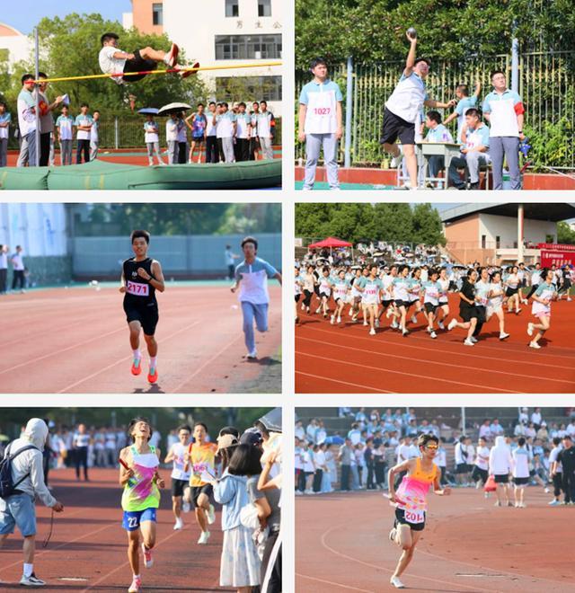 不仅展示了, amp 不仅展示了, amp