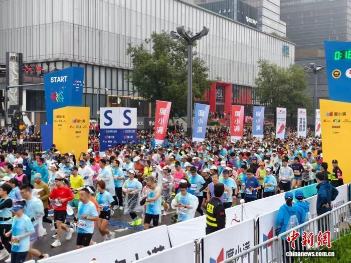 冠军, 赛的参赛规 冠军, 赛的参赛规